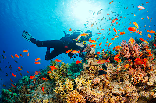 Outdoor destinations near Kuala Lumpur