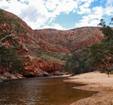 How Long To Recover From Hike Larapinta