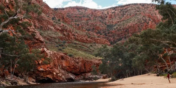 How Long To Recover From Hike Larapinta