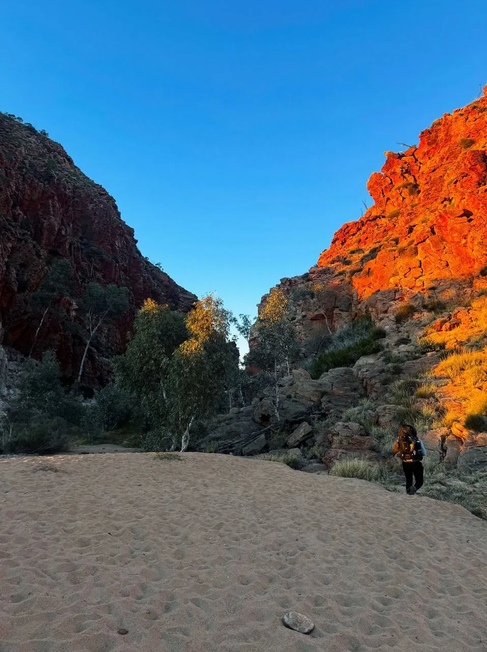 Larapinta Trail Trip