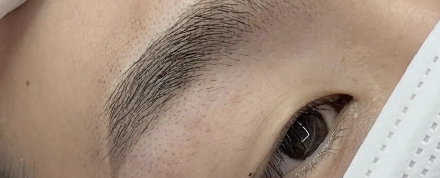 Microblading Course price