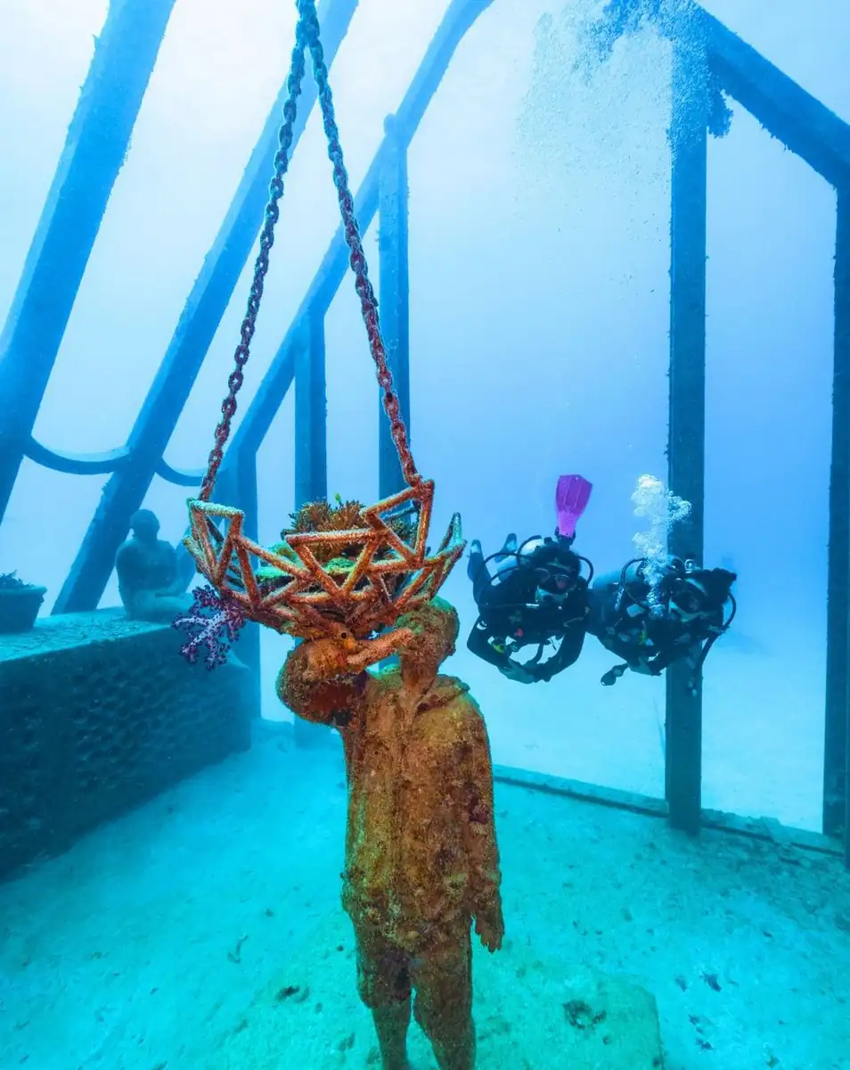 Why Townsville Nails A Reef Day Trip