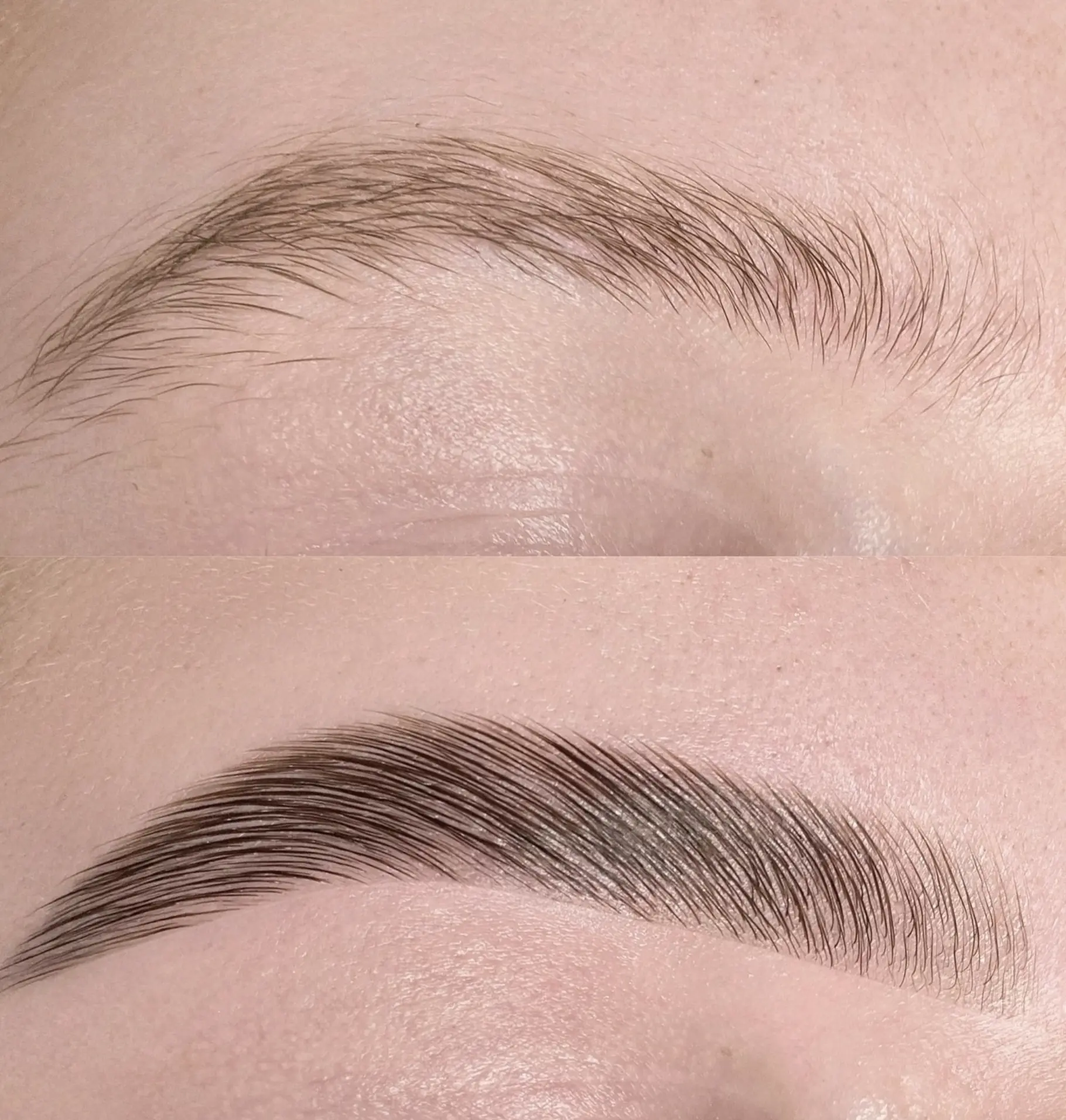 brow lamination Brisbane