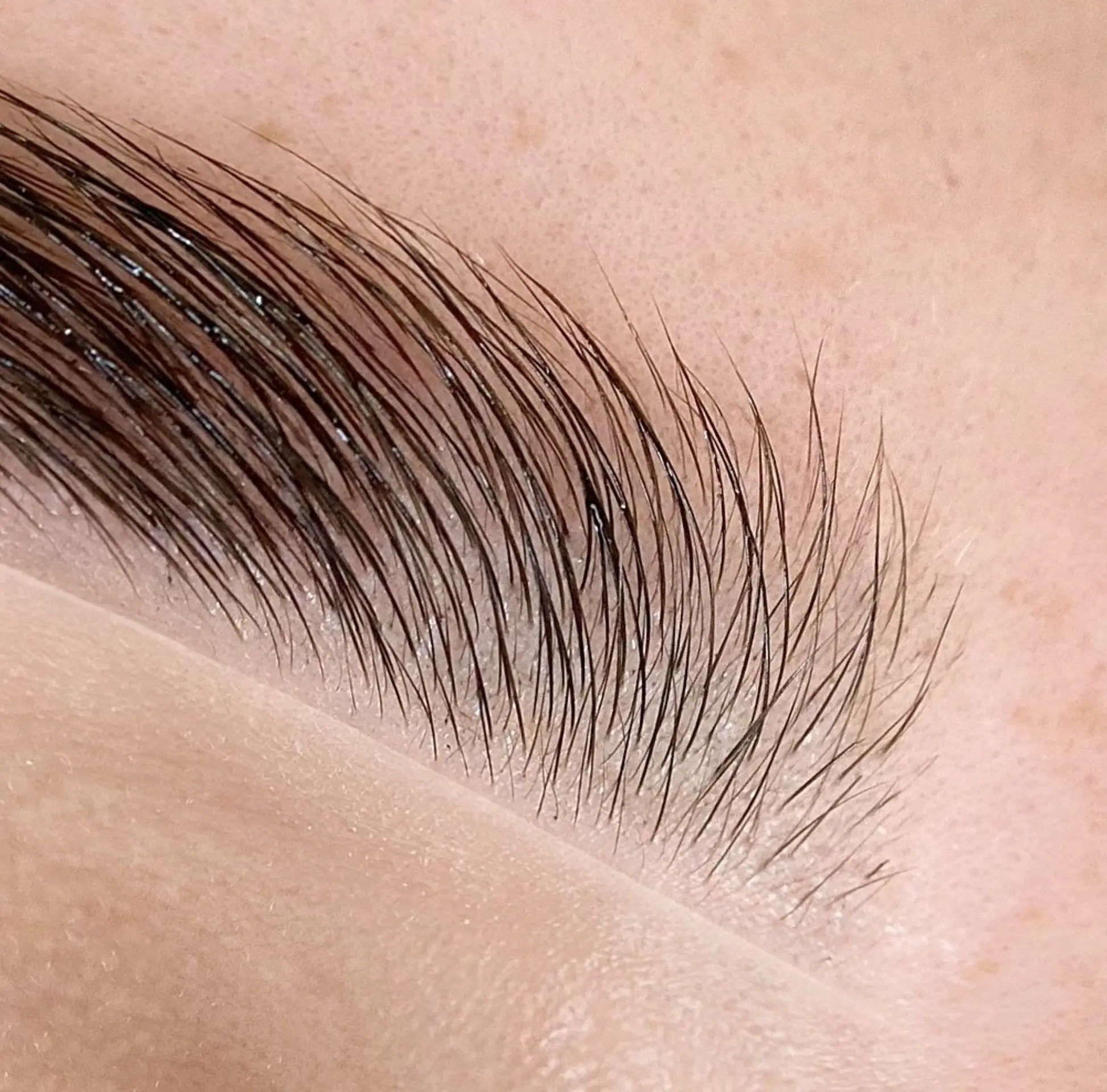 brow lamination during pregnancy